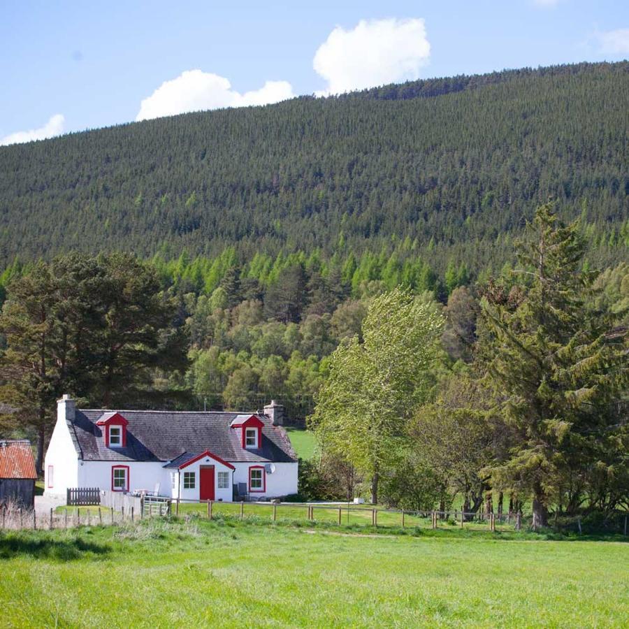 The Croft Cottage - Near Aviemore Exterior photo